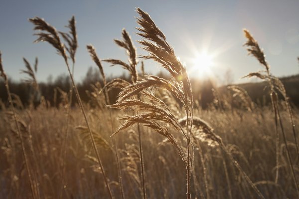 Où découvrir les traditions de la culture aborigène en Australie?